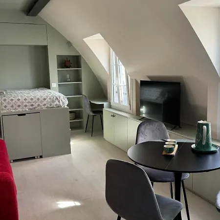 Renove Avec Vue Sur Les Toits De 7e Arrondissement * 巴黎